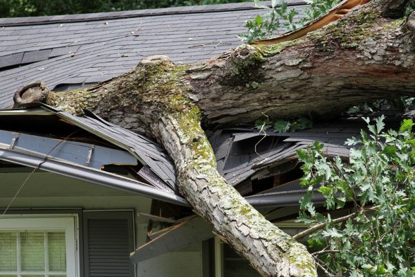 Cost of Storm Remediation in Fort Walton Beach