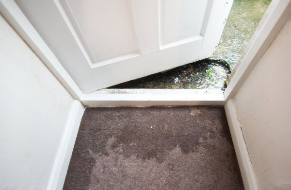 Cost of Wet Carpet Restoration in Fort Walton Beach