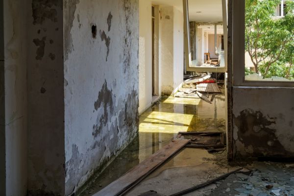 Cost of Water Removal Service in Fort Walton Beach