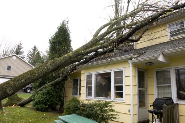 Cost of Storm Damage Mitigation in Fort Walton Beach